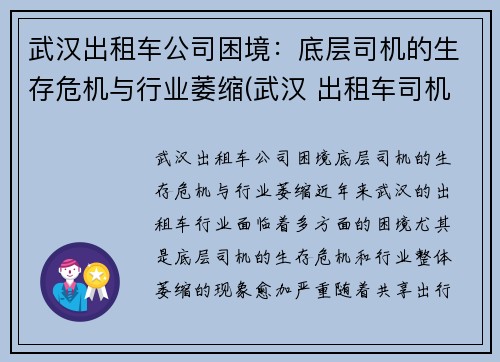 武汉出租车公司困境：底层司机的生存危机与行业萎缩(武汉 出租车司机)