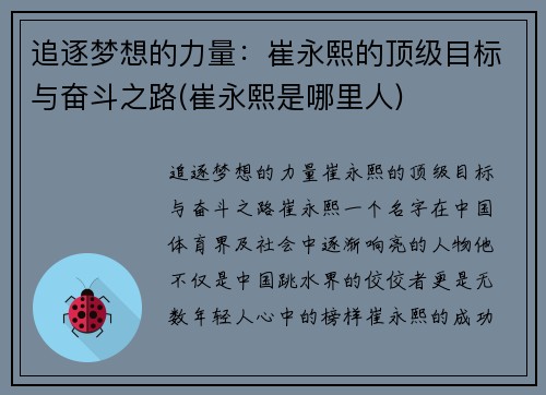 追逐梦想的力量：崔永熙的顶级目标与奋斗之路(崔永熙是哪里人)