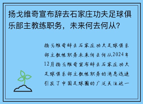 扬戈维奇宣布辞去石家庄功夫足球俱乐部主教练职务，未来何去何从？