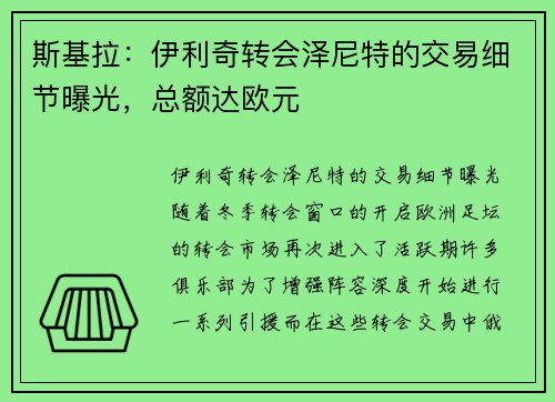 斯基拉：伊利奇转会泽尼特的交易细节曝光，总额达欧元