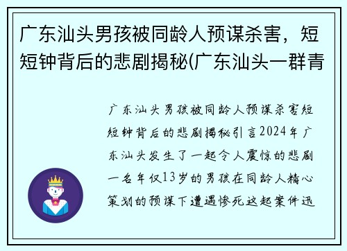 广东汕头男孩被同龄人预谋杀害，短短钟背后的悲剧揭秘(广东汕头一群青少年深夜持刀斗殴)