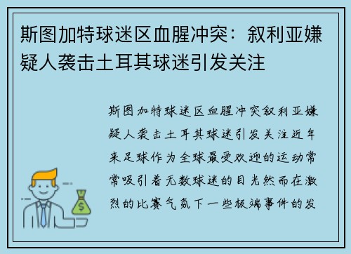 斯图加特球迷区血腥冲突：叙利亚嫌疑人袭击土耳其球迷引发关注