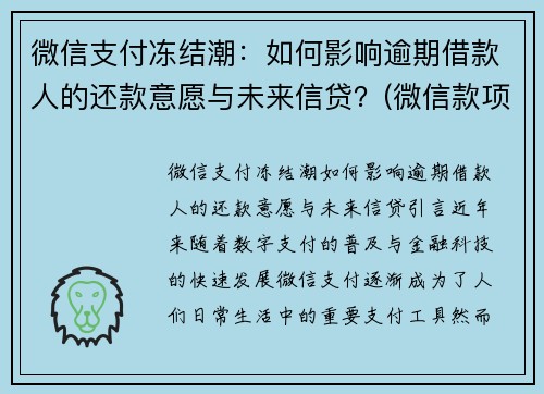 微信支付冻结潮：如何影响逾期借款人的还款意愿与未来信贷？(微信款项被冻结)